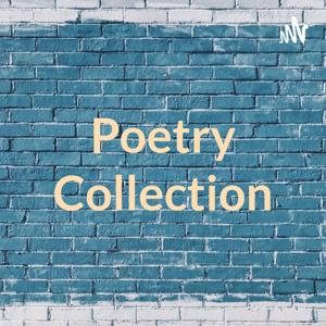 Poetry Collection