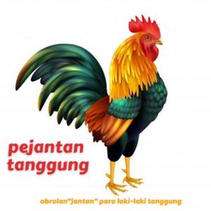 Pejantan Tanggung