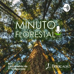 Minuto Florestal