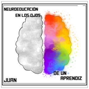 Neuroeducación en los ojos de un aprendiz