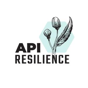 API Resilience