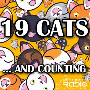 19 Cats and Counting on Pet Life Radio (PetLifeRadio.com)