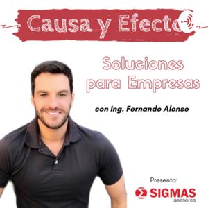 “ Causa y Efecto” - Soluciones para Empresas