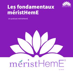 Fondamentaux méristHemE