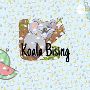 Koala Bising