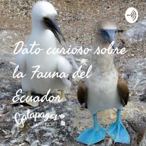 Dato curioso sobre la Fauna del Ecuador