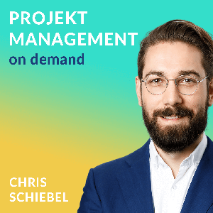 Projektmanagement on demand - ganzheitlich, fundiert, inspirierend inkl. Vorlagen für dein Projekt