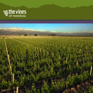 The Vines of Mendoza: Adventures in Winemaking