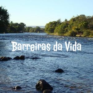 Barreiras da Vida