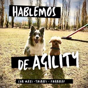 Hablemos de AGILITY