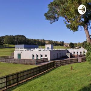 Stirches Podful Ponders