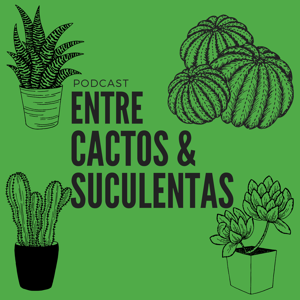 Entre Cactos & Suculentas