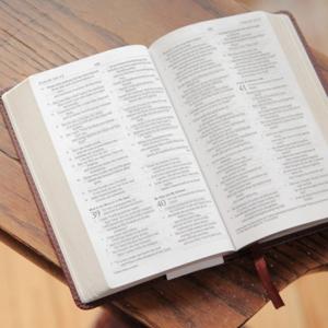Reflexiones Del Evangelio