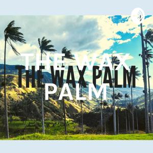 THE WAX PALM