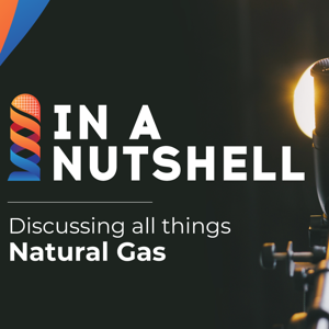 In a Nutshell by Natural Gas World