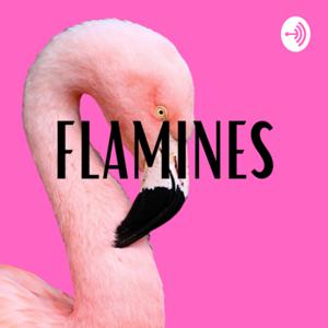 flaminES Podcast