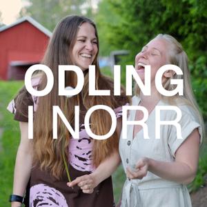 Odling i norr