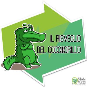 Il risveglio del coccodrillo