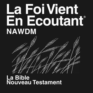 Nawdm Bible (no dramatisé)