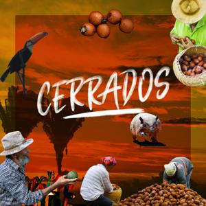 Cerrados