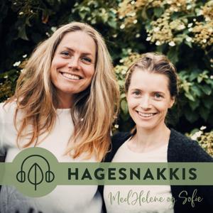 Hagesnakkis by Hagesøstrene