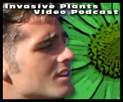 Invasive Plants of the US