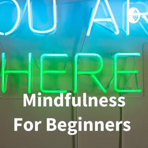 Mindfulness For Beginners