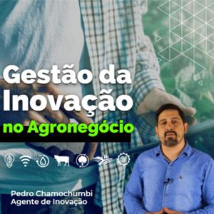 Gestão da Inovação com Pedro Chamochumbi