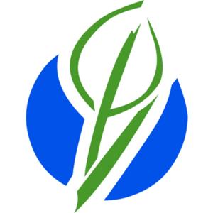 Church Planting International Teachings