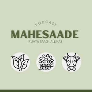 MAHE: puhta saagi allikas