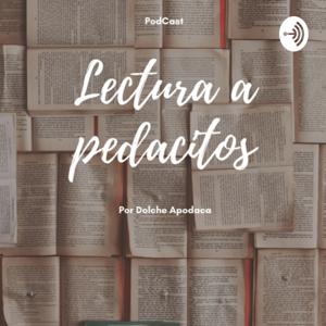 LECTURA A PEDACITOS