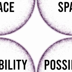 Possibility Space