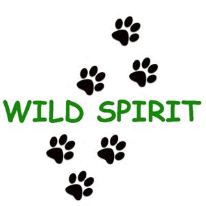 Wild Spirit