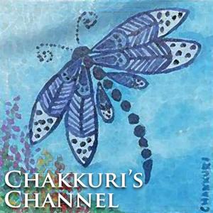 Chakkuri's Channel