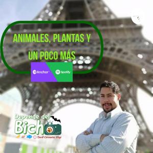 Animales, Plantas Y Un Poco Más