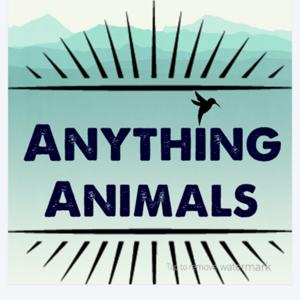 Anything Animals