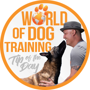 World Of Dog Training: Tip of the Day