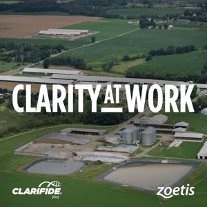 Clarity At Work: Building A Herd For Tomorrow