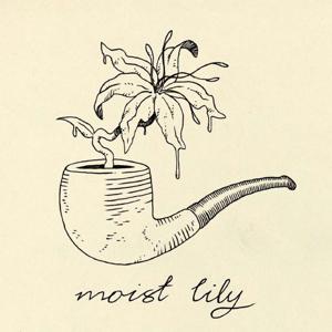 Moist Lily