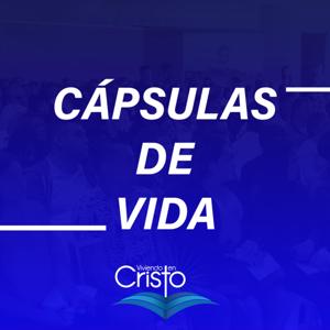 Capsulas diarias - IVC