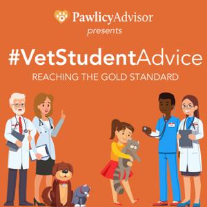 #VetStudentAdvice | Veterinary School & Beyond
