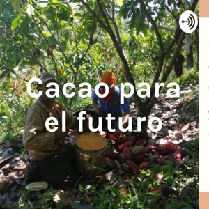 Cacao para el futuro