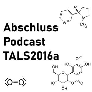 Abschlusspodcast TALs2016a