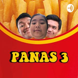 PANAS 3