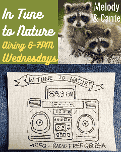 In Tune to Nature Podcast