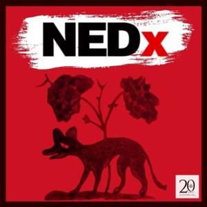 NEDx