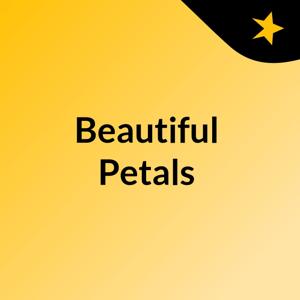 Beautiful Petals