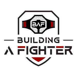 Building a Fighter