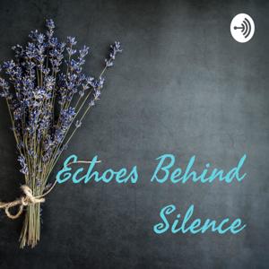Echoes Behind Silence