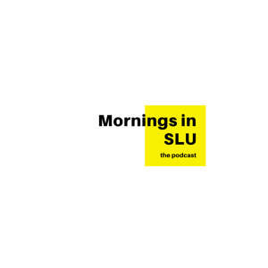 Mornings in SLU